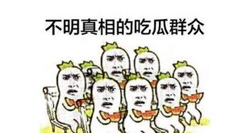 吃瓜群众有话说,揭秘娱乐圈背后的真相与八卦