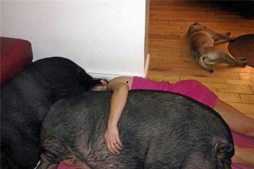 女生微信发吃瓜是什么意思,女生微信“吃瓜”背后的趣味与社交心理