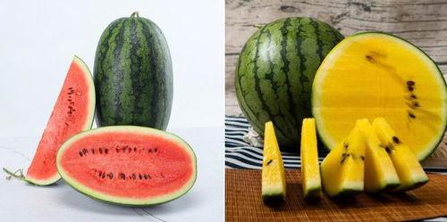 吃瓜娱乐场,吃瓜群众的狂欢盛宴