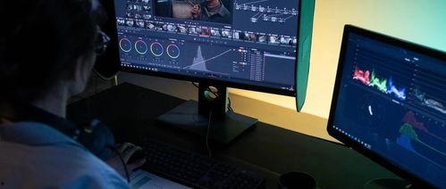 娱乐小葱花吃瓜视频下载,揭秘娱乐圈幕后故事